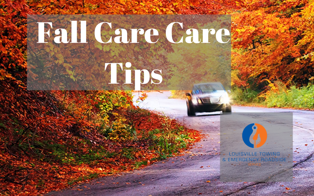Fall Care Care Tips